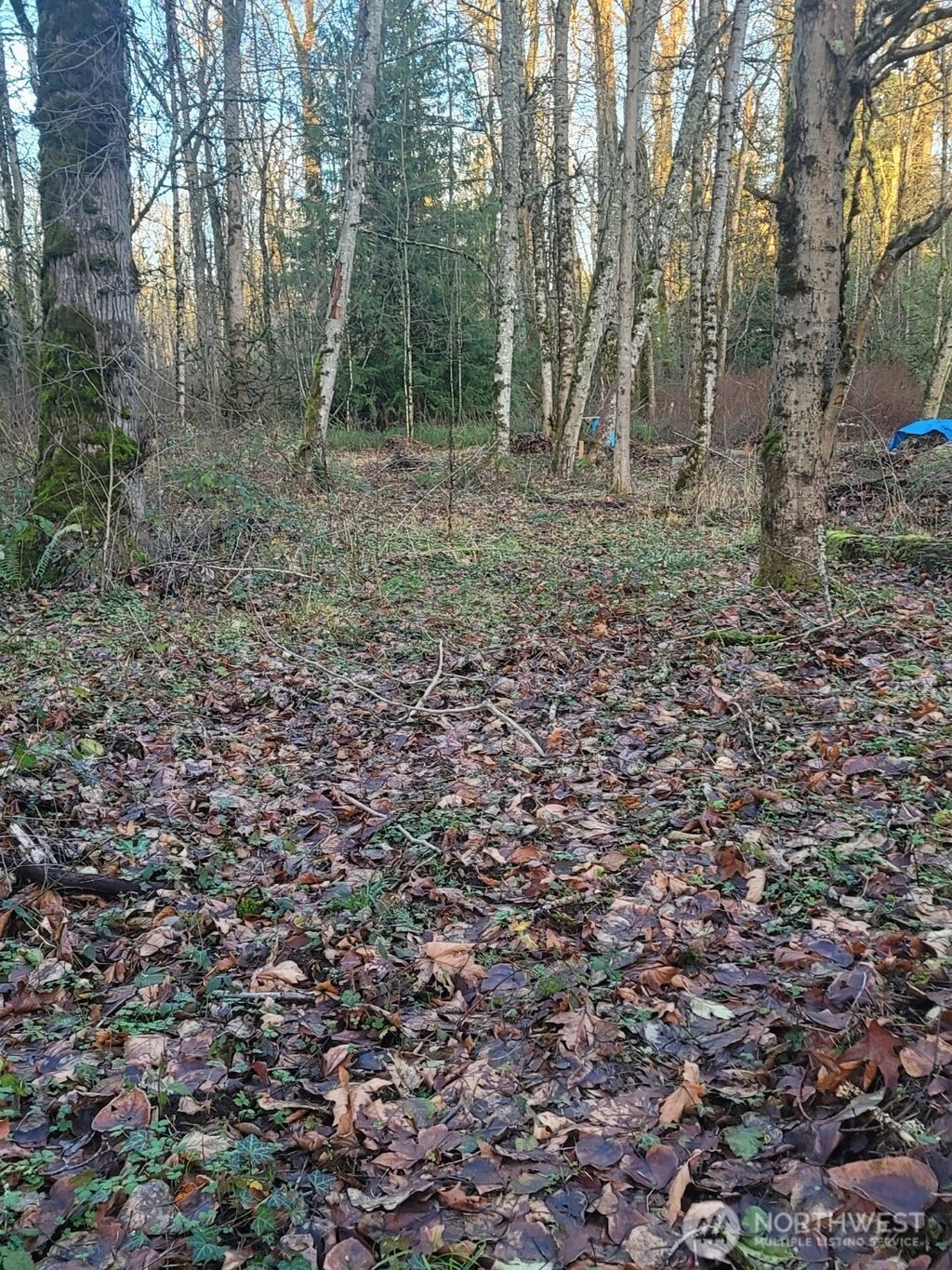 Photo of 35750 Military Road S, Auburn, WA 98001 (MLS # 2468899)