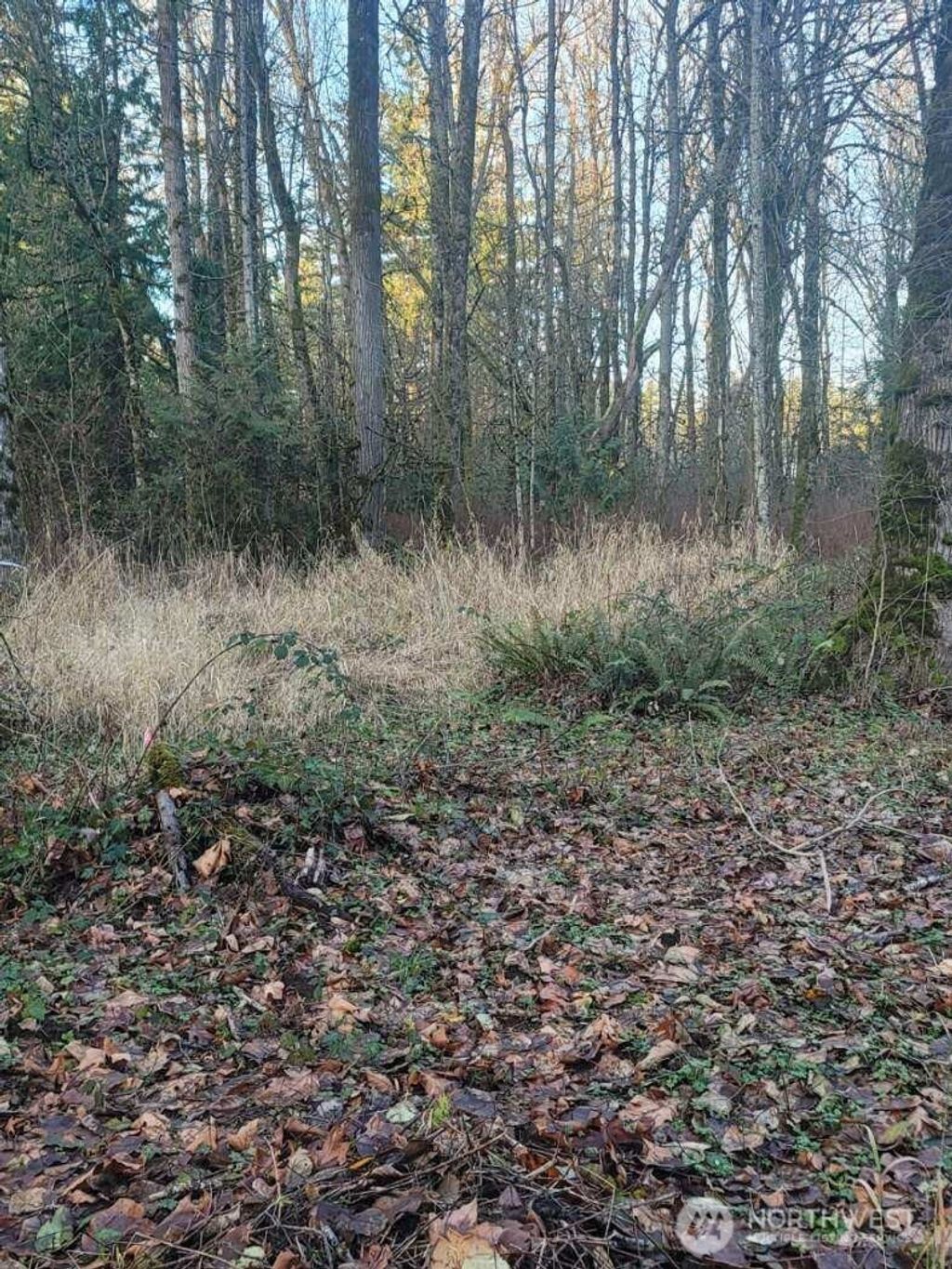 Photo of 35750 Military Road S, Auburn, WA 98001 (MLS # 2468899)