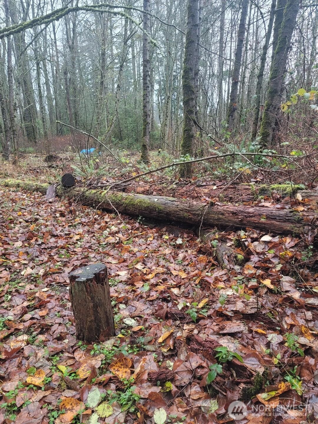 35750 Military Road S