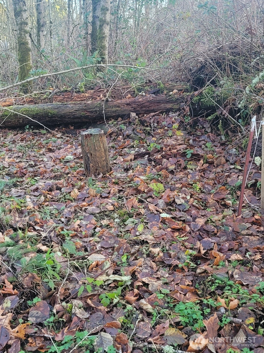 35750 Military Road S