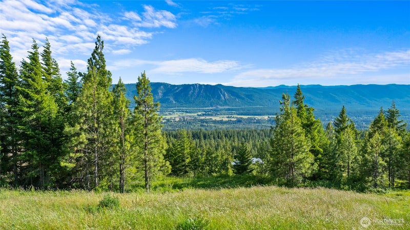 31 Forest Ridge Drive