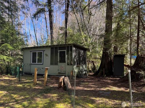 Photo of 191 W Thunderbird Drive, Elma, WA 98541 (MLS # 2498201)