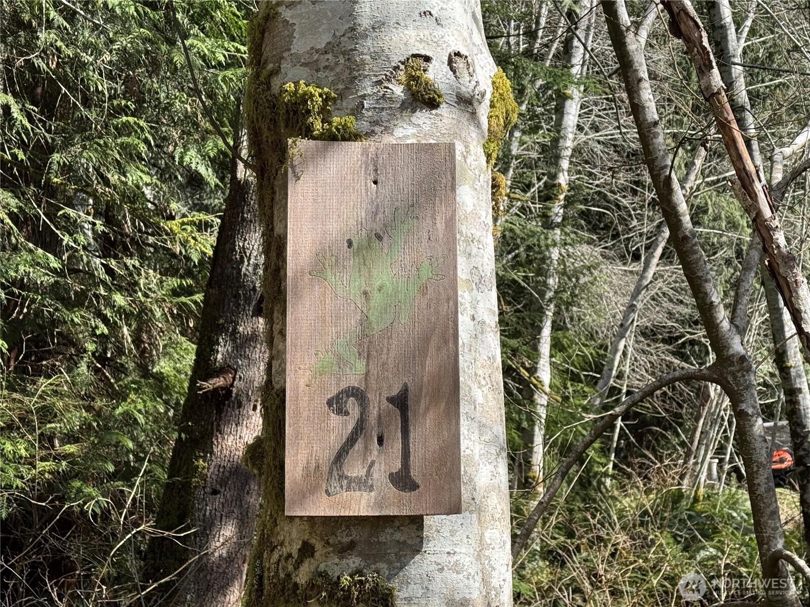 191 W Thunderbird Drive