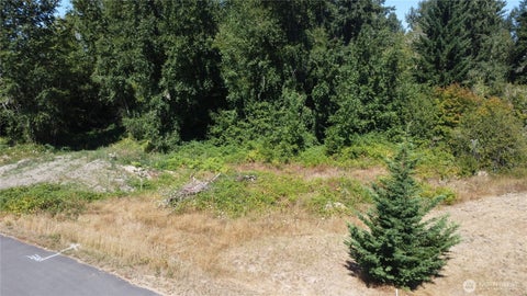 Photo of 3009 342nd Street Ct S, Roy, WA 98580 (MLS # 2574972)