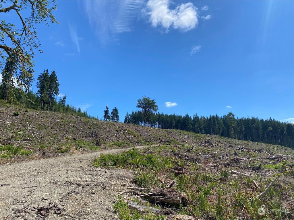 Photo of 24300 X1 N Lake Cochran Road, Monroe, WA 98272 (MLS # 1999826)
