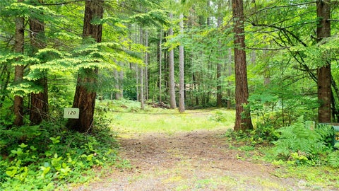 Photo of 120 N Kokanee Cove Way, Hoodsport, WA 98548 (MLS # 2536481)