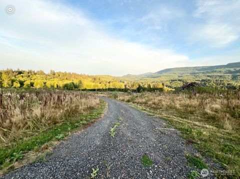 195 Hagen #82 Road Mossyrock WA 98564