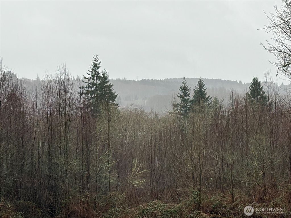 Photo of 280 Ridge View Road, Onalaska, WA 98570 (MLS # 2492558)