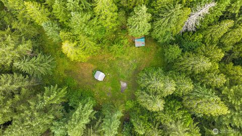 Photo of 7326 Mt. Baker Highway Hwy, Maple Falls, WA 98244 (MLS # 2423863)