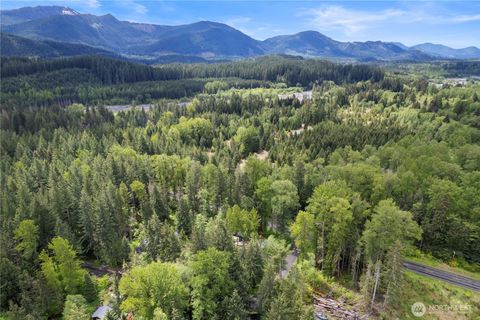 Photo of 34208 343rd Avenue Ct E, Ashford, WA 98304 (MLS # 2400540)