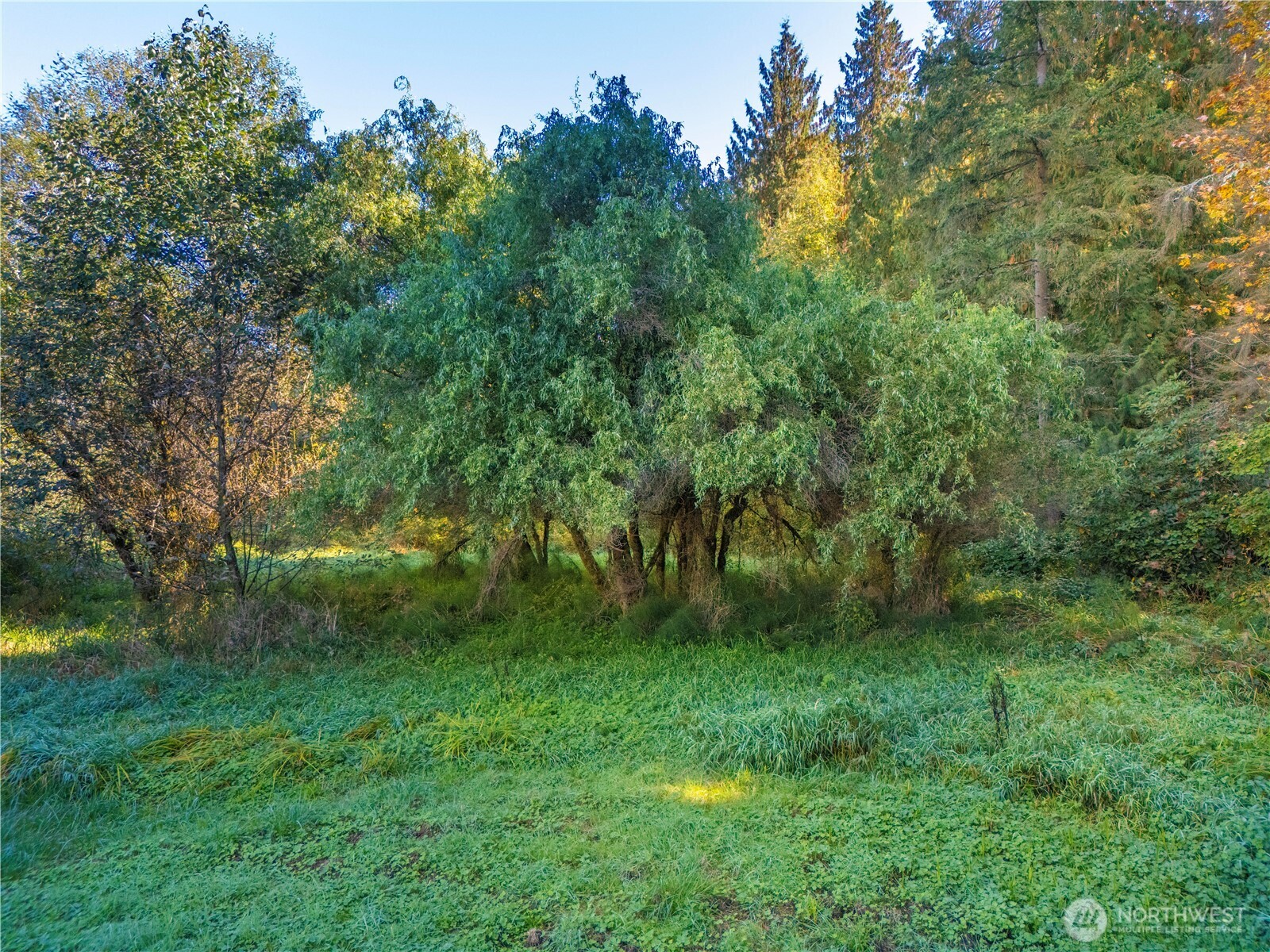 Redmond, Washington 98053, United States, ,Commercial,Active,89312