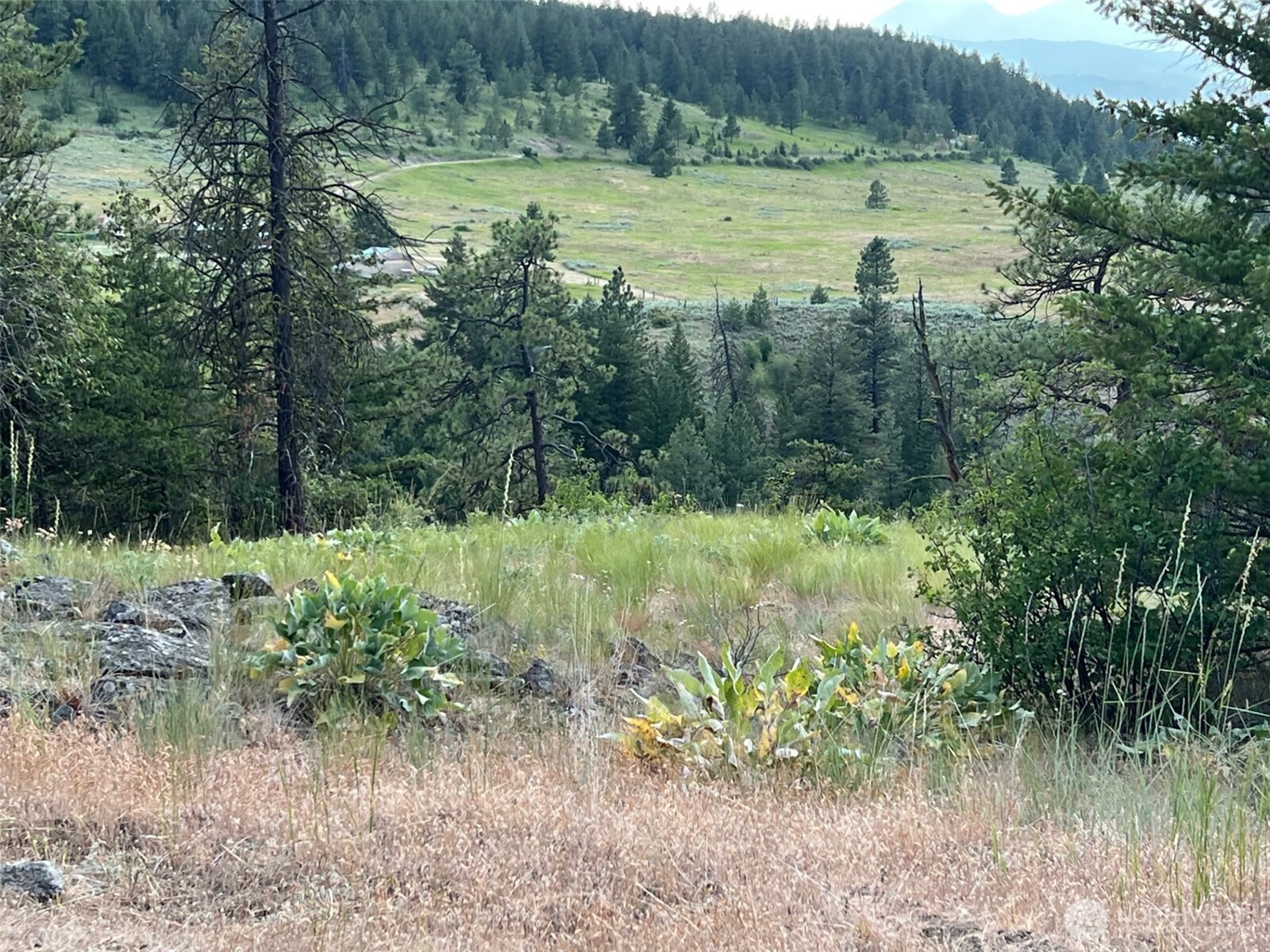 240 W Corral Drive