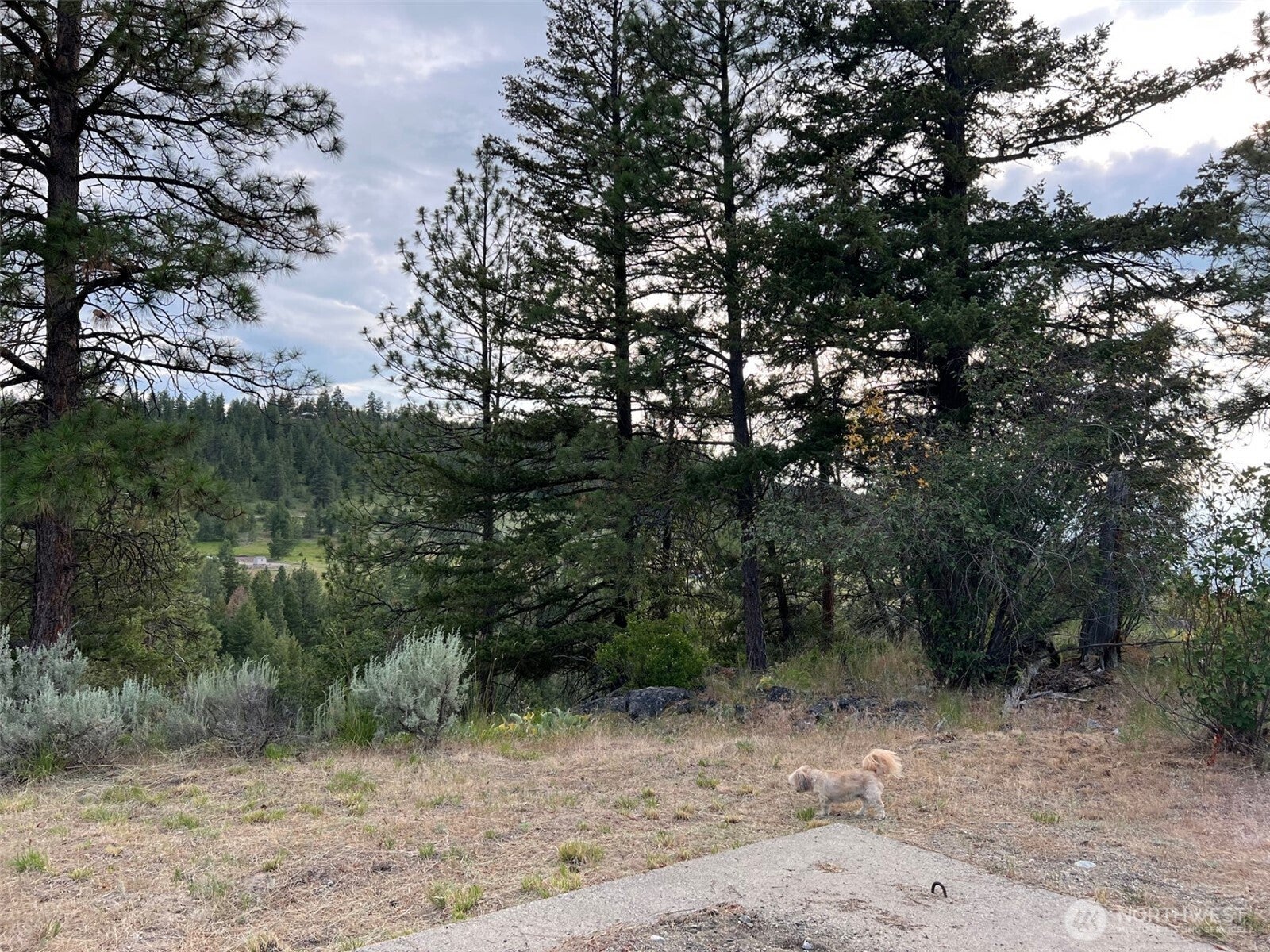240 W Corral Drive