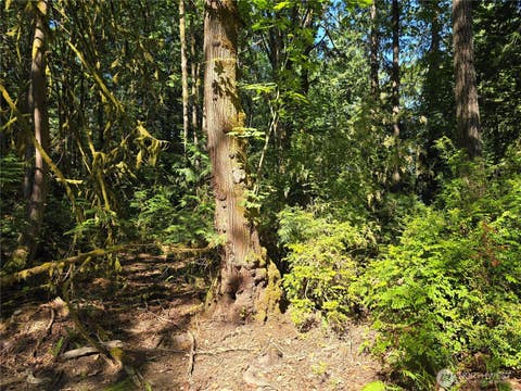 Photo of 655 E Pointes Drive E, Shelton, WA 98584 (MLS # 2551458)