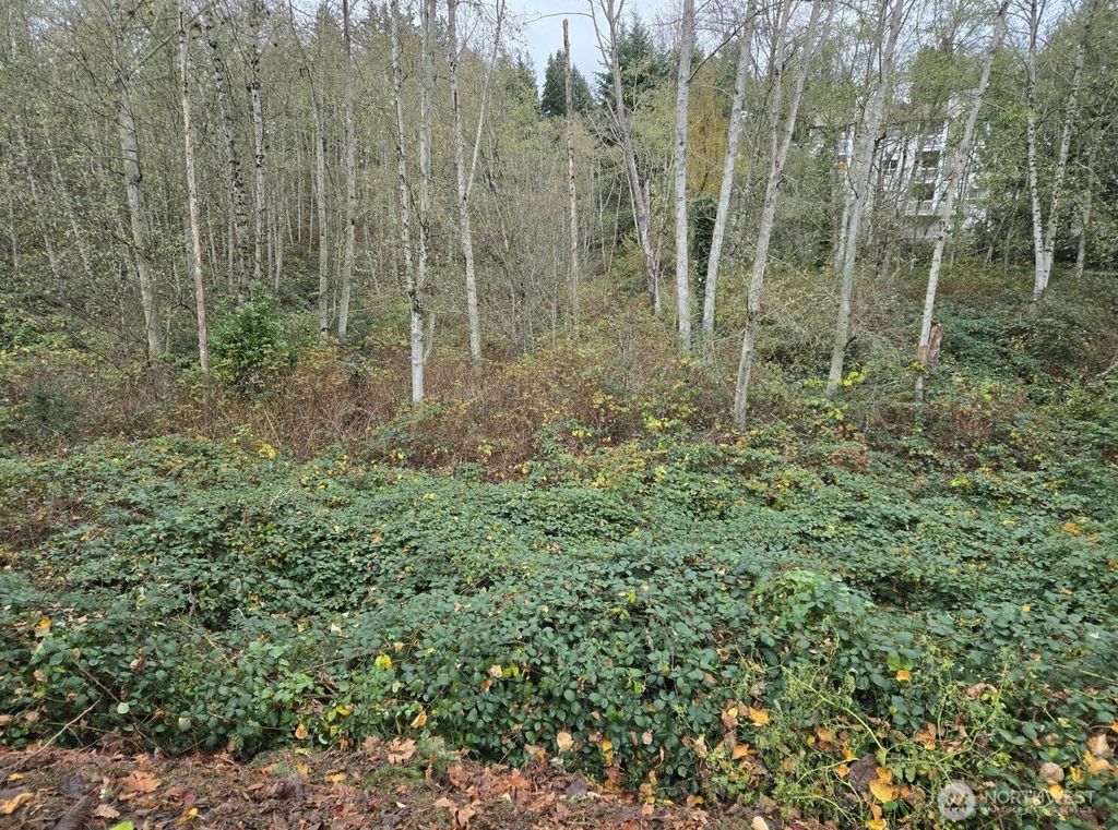 Photo of 8201 5th Avenue W, Everett, WA 98204 (MLS # 2514826)