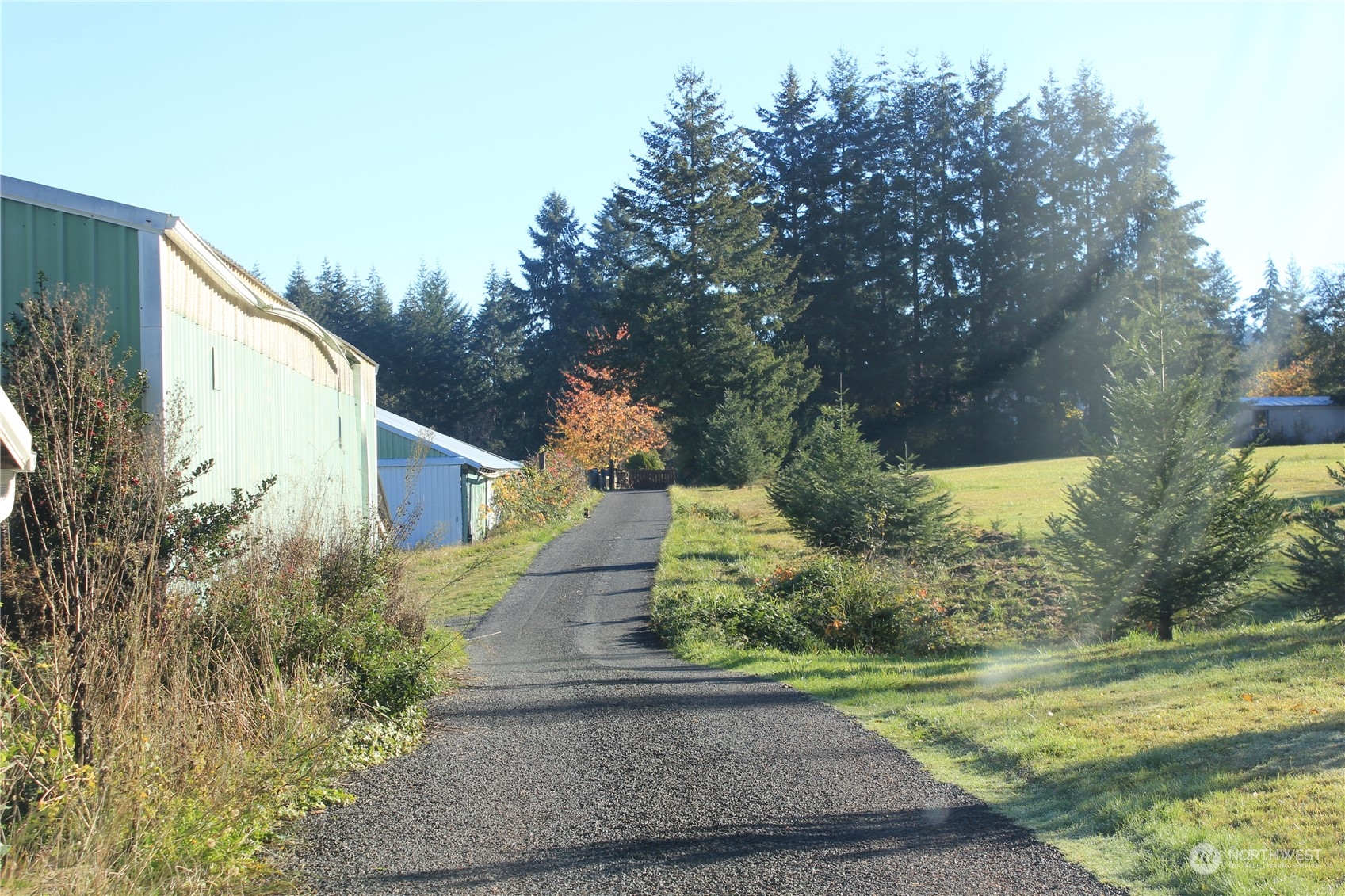 305 Penning Road