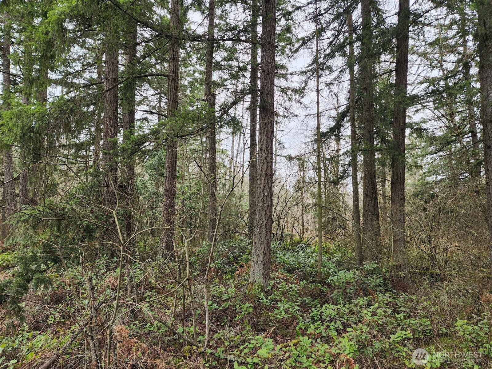 0 126th Avenue E