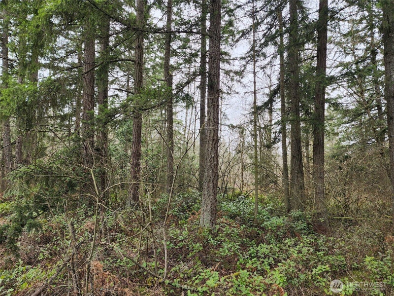 0 126th Avenue E