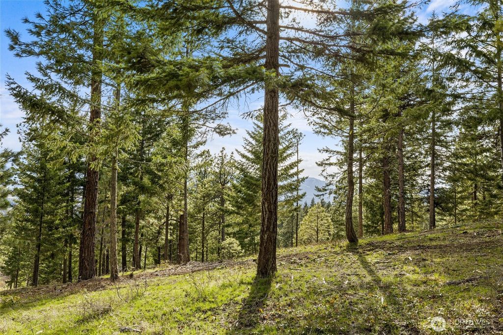 Photo of 0 XXX Game Trail Road, Cle Elum, WA 98922 (MLS # 2497275)