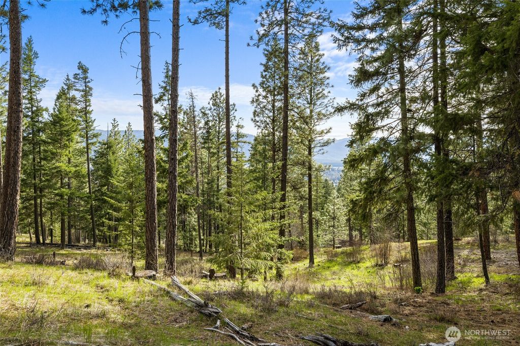 Photo of 0 XXX Game Trail Road, Cle Elum, WA 98922 (MLS # 2497275)