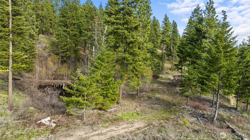 Photo of 0 XXX Game Trail Road, Cle Elum, WA 98922 (MLS # 2497275)