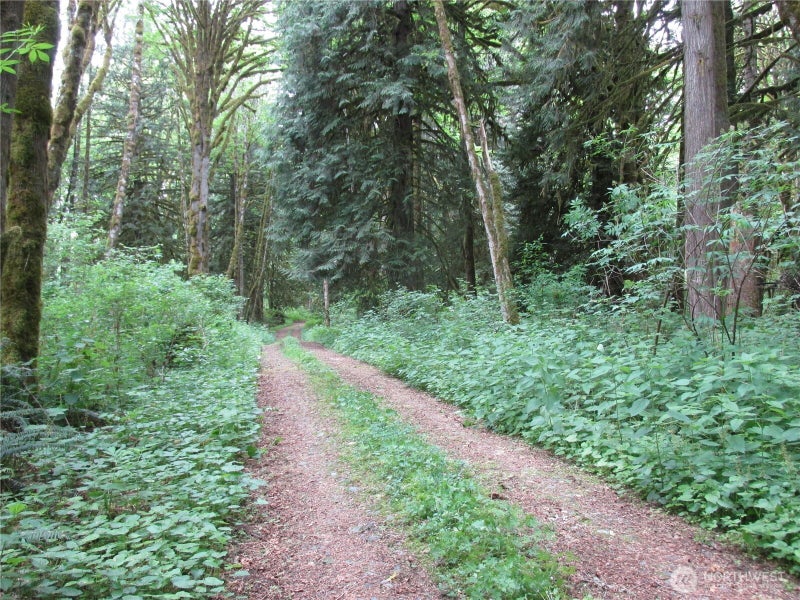 0 Arnold Lane