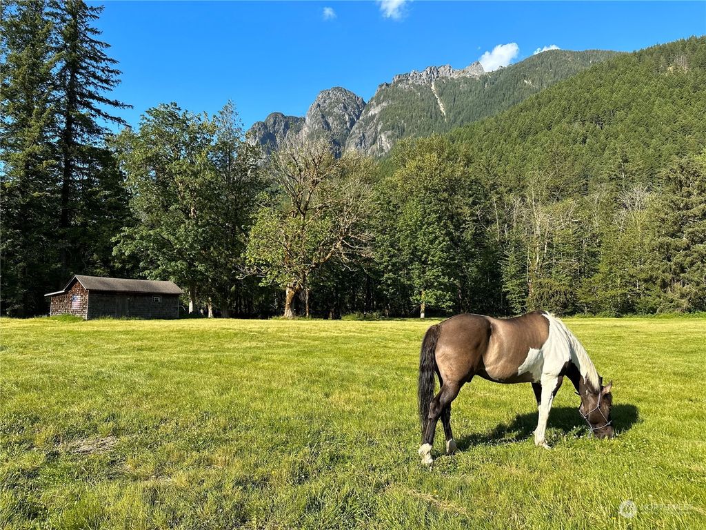 Photo of 43010 SE 114th Street, North Bend, WA 98045 (MLS # 2261329)