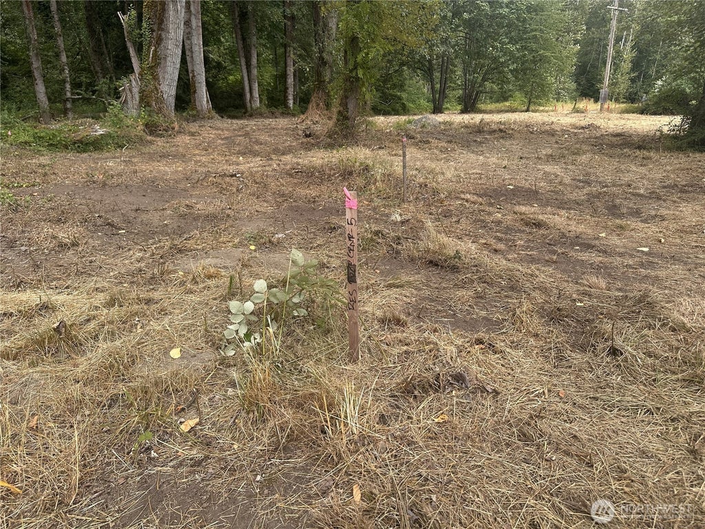Photo of 154 XX SE Jones Road, Renton, WA 98058 (MLS # 2566755)