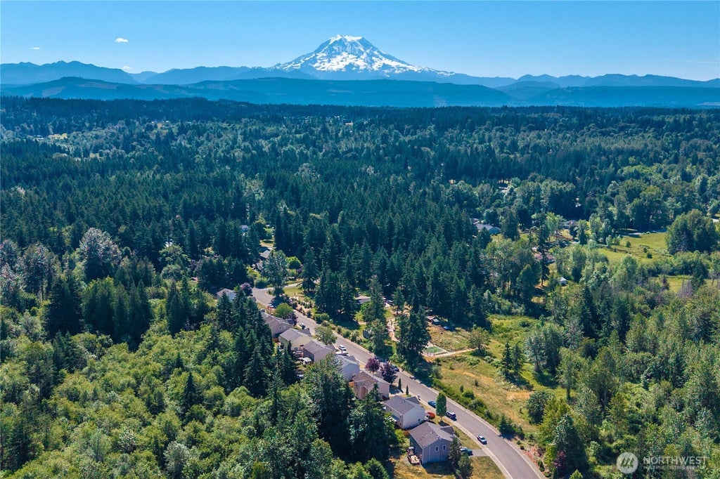 Photo of 11601 212th Street E, Graham, WA 98338 (MLS # 2529236)