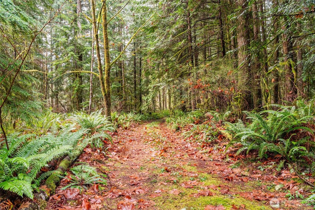 Photo of 12020 Huckleberry Lane, Arlington, WA 98223 (MLS # 2467236)