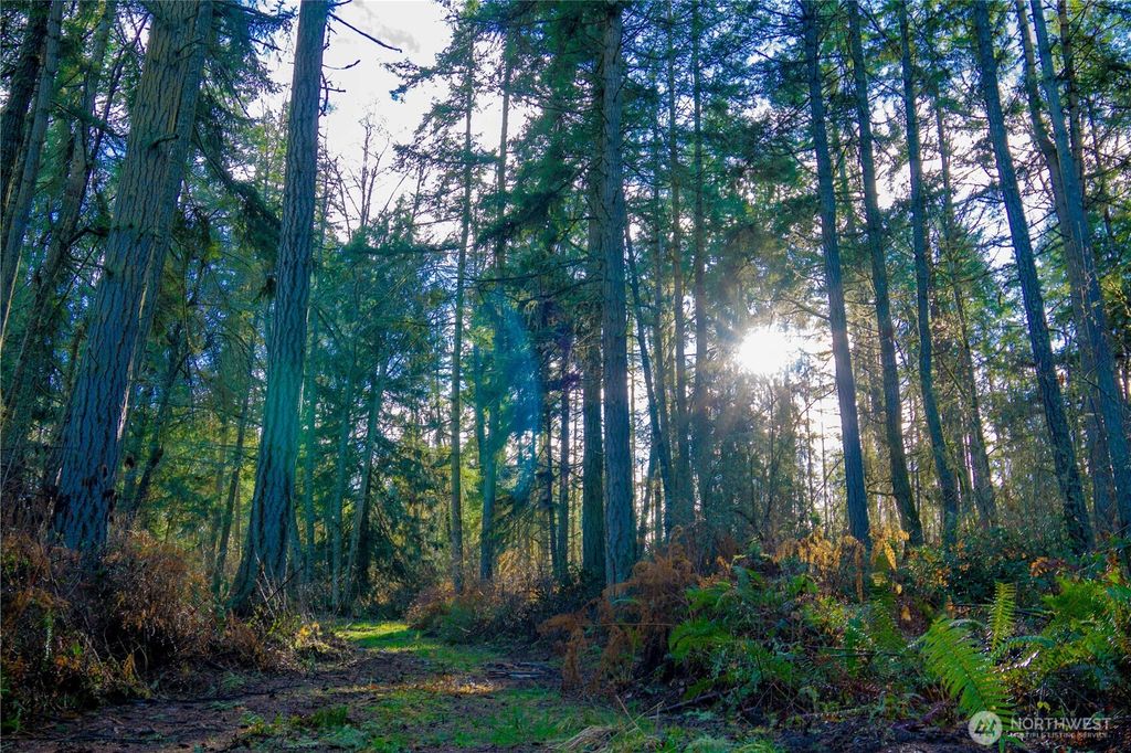 Photo of 0 NKA Atterberry Road, Sequim, WA 98382 (MLS # 2461604)