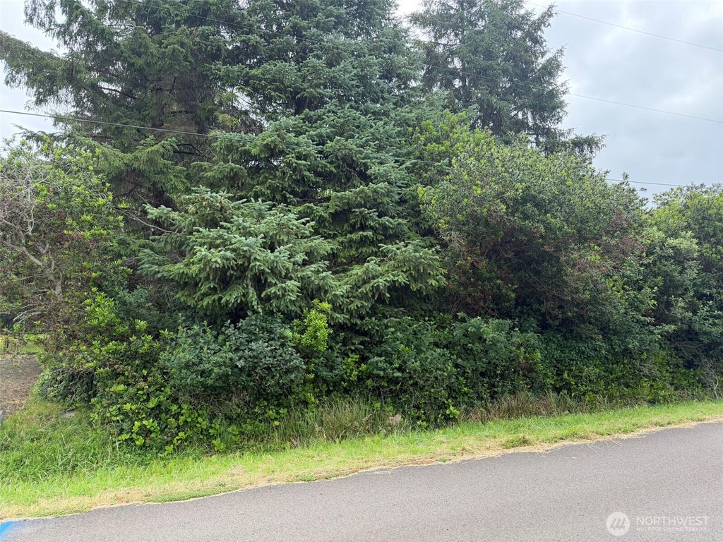 Photo of 186 Wishkah Street SW, Ocean Shores, WA 98569 (MLS # 2549029)