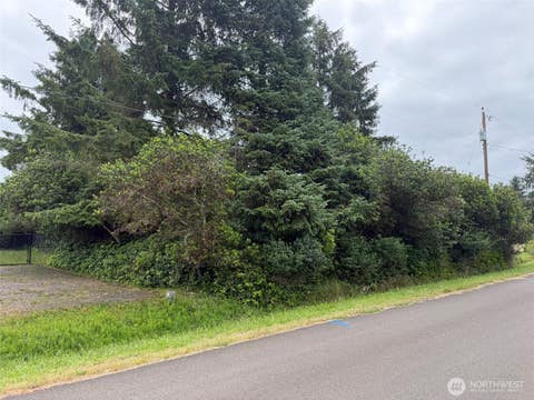 Photo of 186 Wishkah Street SW, Ocean Shores, WA 98569 (MLS # 2549029)