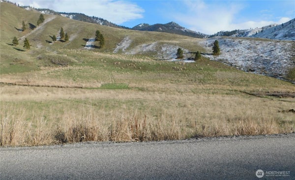 8025 NAHAHUM CANYON RD, CASHMERE, WA 98815 - Image 10cd52ef2bb4d3b6241fbd677f9a4793/1464852480