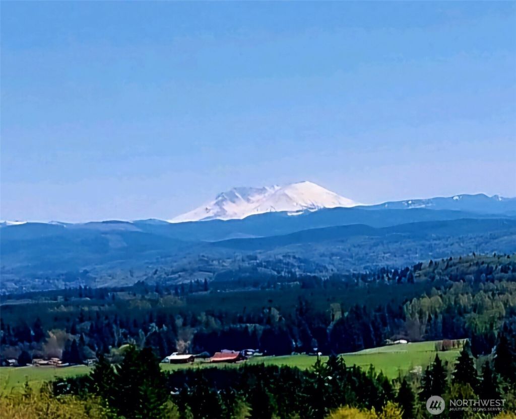 Photo of 177 Starlight Drive, Onalaska, WA 98533 (MLS # 2486920)