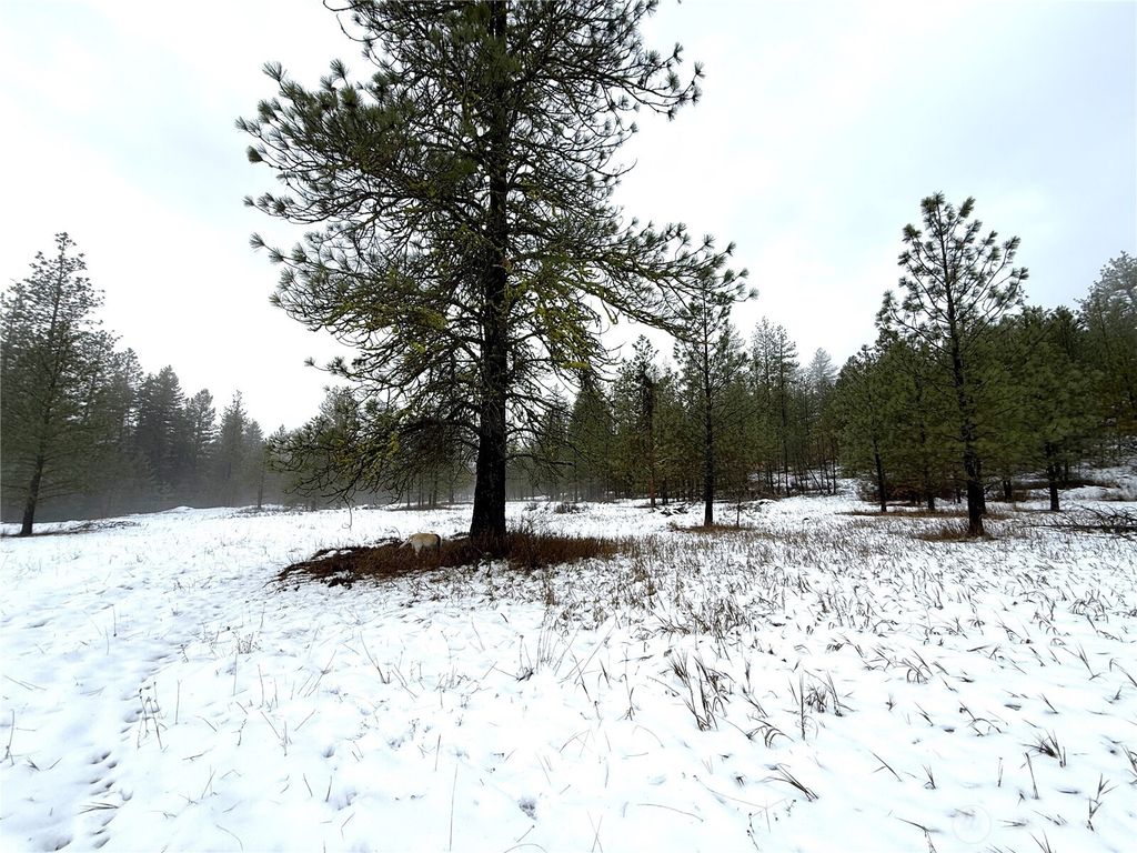 Photo of 122 Art Creek Road, Malo, WA 99150 (MLS # 2463044)