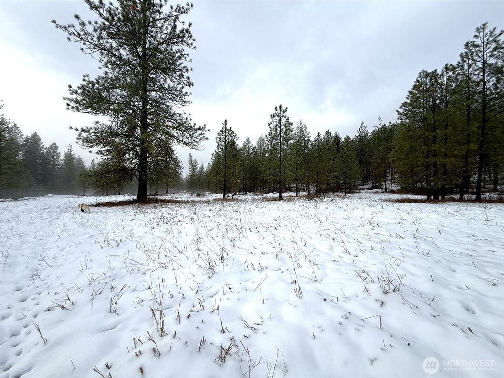 Photo of 122 Art Creek Road, Malo, WA 99150 (MLS # 2463044)