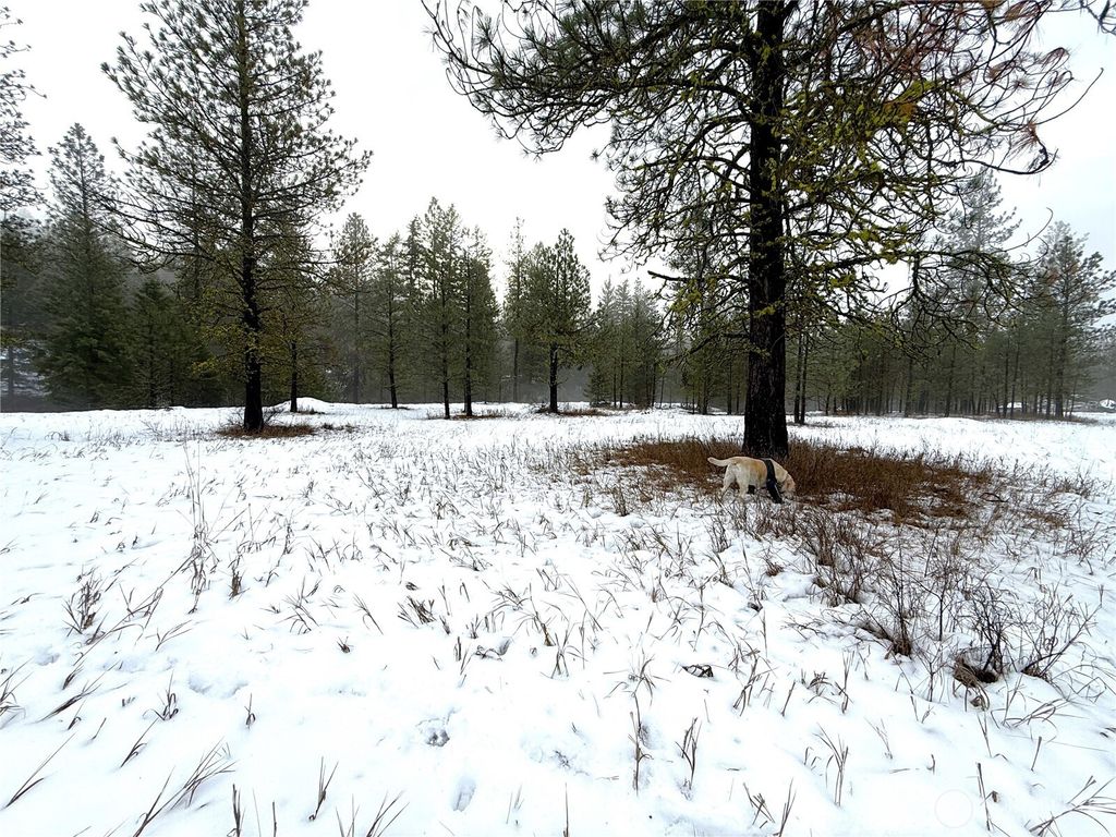 Photo of 122 Art Creek Road, Malo, WA 99150 (MLS # 2463044)