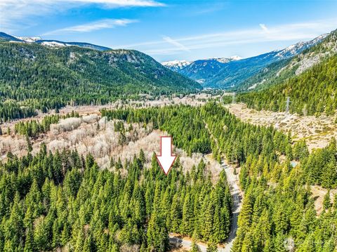 Photo of 1111 Nason Ridge Road, Leavenworth, WA 98826 (MLS # 2493855)