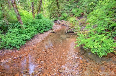 Photo of 3 Parpala Road #3, Naselle, WA 98638 (MLS # 2376897)