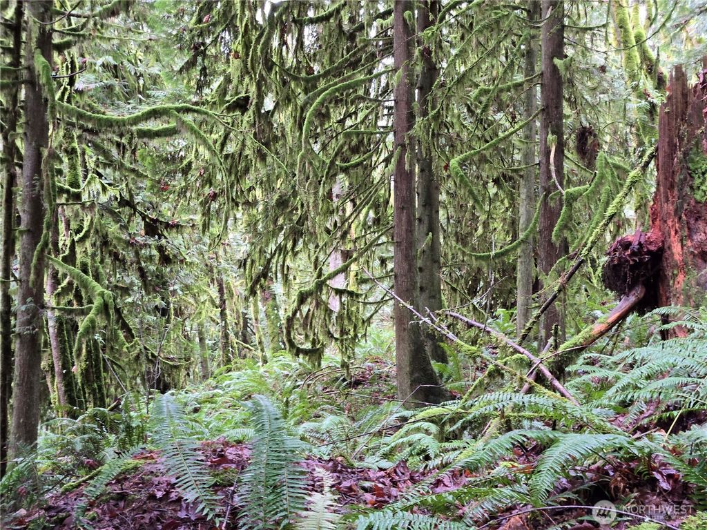 Photo of 185 xx 123rd (Northern Lot) Avenue NE, Arlington, WA 98223 (MLS # 2489812)