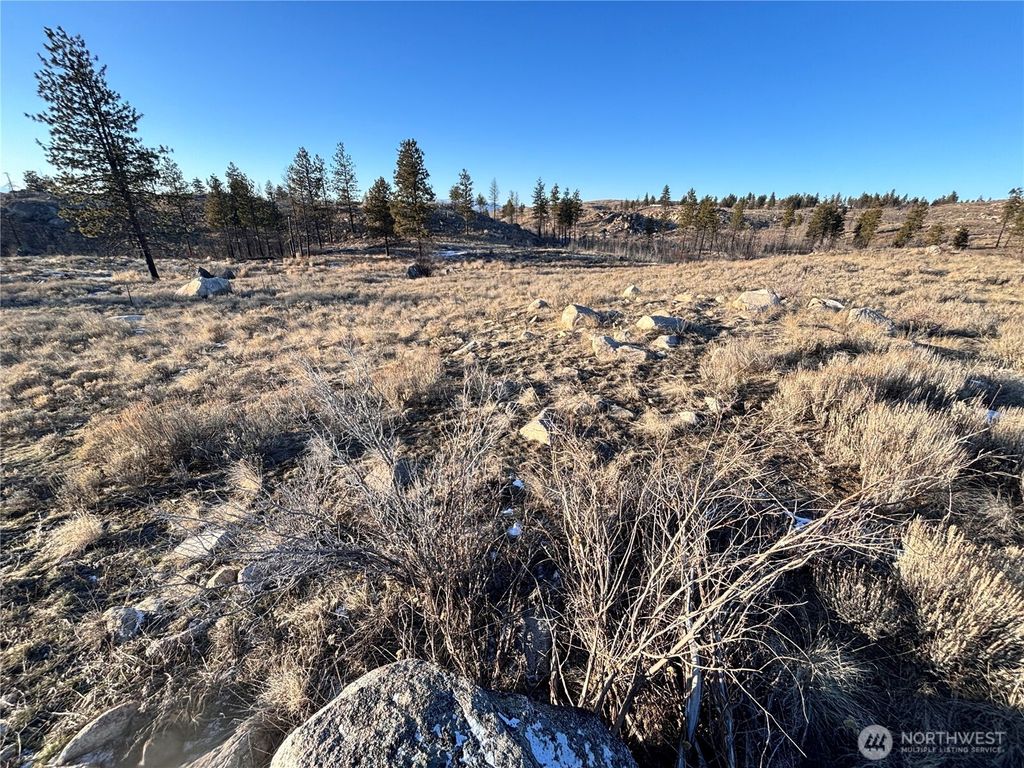 Photo of 372 C Cameron Lake Loop Road, Okanogan, WA 98840 (MLS # 2477909)