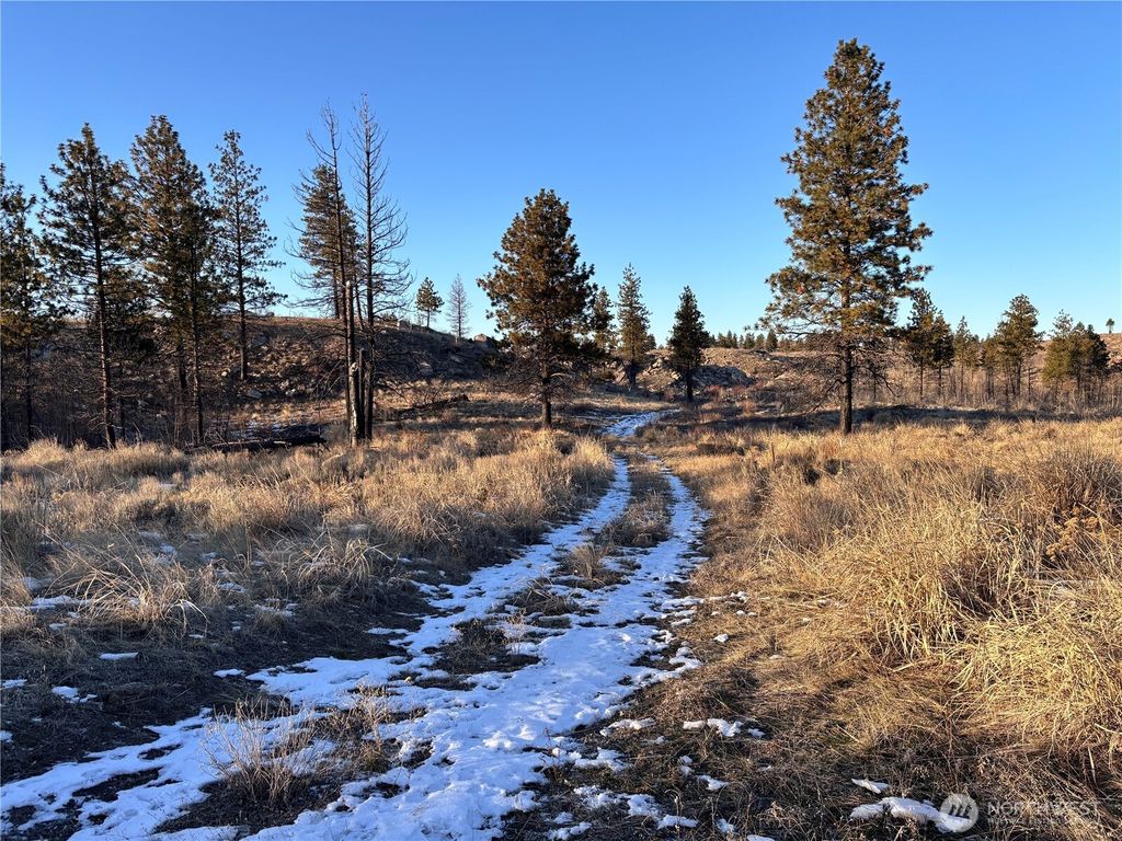 Photo of 372 C Cameron Lake Loop Road, Okanogan, WA 98840 (MLS # 2477909)