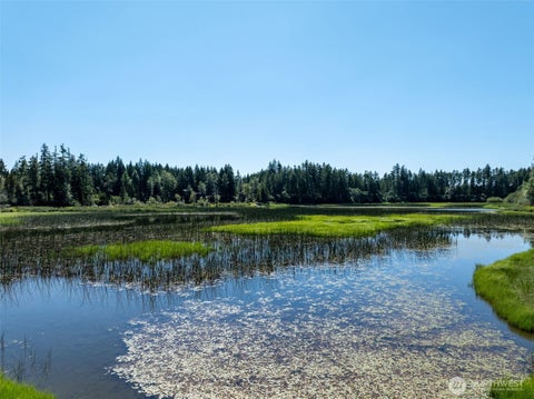 Photo of 2531 W Hanks Lake Road, Shelton, WA 98584 (MLS # 2571924)