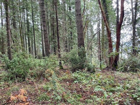 Photo of 0 Elk Street, Shelton, WA 98584 (MLS # 2496741)