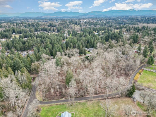 17400 SE 298TH ST, KENT, WA 98042 - Image 117d60dd1772e253bf098bdb875f5cbd/2917407906