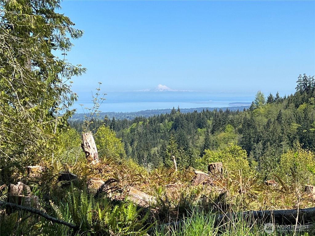 Photo of 9999 E Half Mile Rd., Lot B, Port Angeles, WA 98362 (MLS # 2485270)