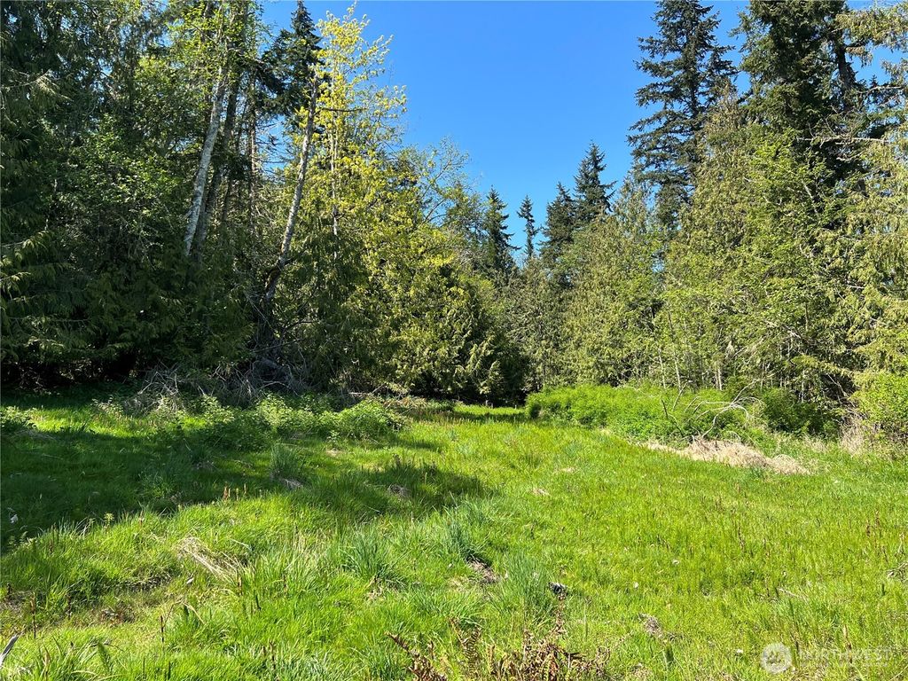 Photo of 9999 E Half Mile Rd., Lot B, Port Angeles, WA 98362 (MLS # 2485270)