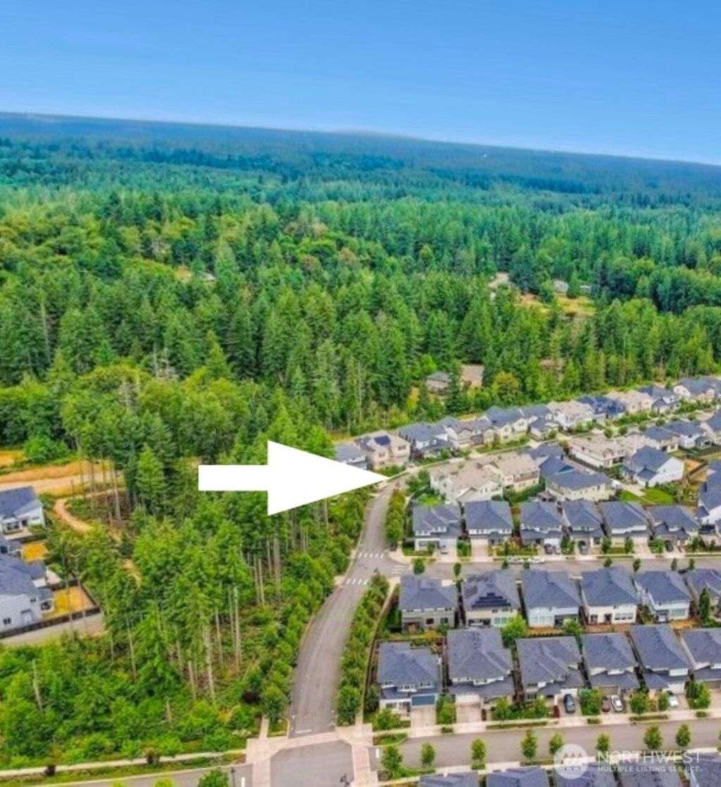 Photo of 32938 Ash Avenue SE, Black Diamond, WA 98010 (MLS # 2471200)