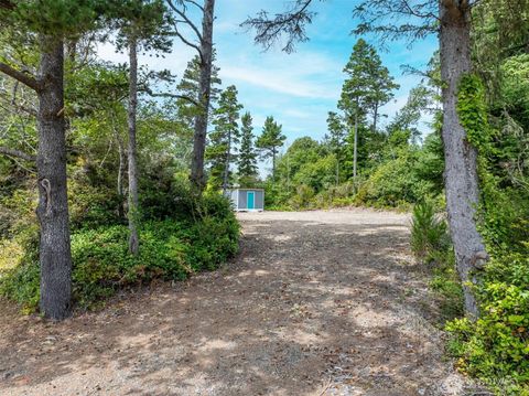 Photo of 1605 243rd Lane, Ocean Park, WA 98640 (MLS # 2421758)
